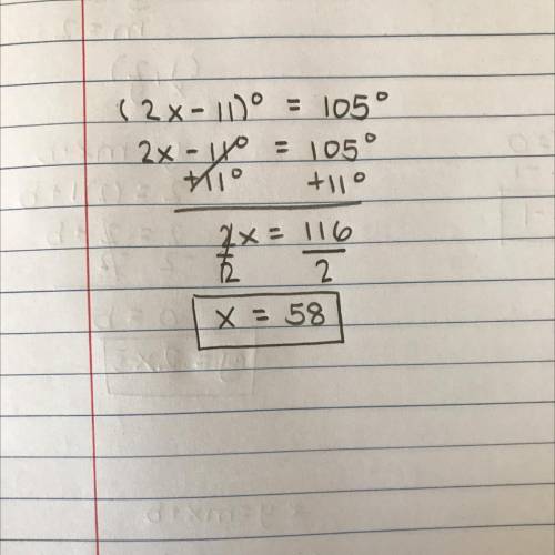 What is the value of x ??