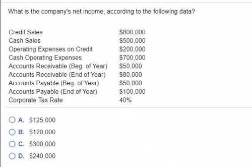 what is the companys net income, according to the following data. credit sales 80000 cash sales 5000
