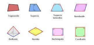 Examples of quadrilateral and it's features​