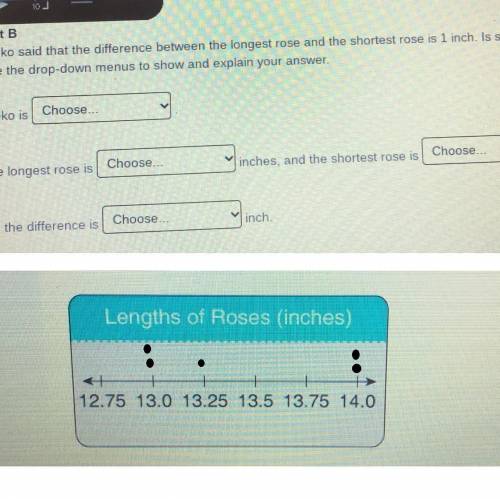 Mieko said that the difference between the longest rose and the shortest rose is 1 inch. Is she corr