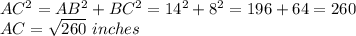 AC^2 = AB^2 + BC^2 = 14^2 + 8^2 = 196 +64 = 260\\AC = \sqrt{260}\ inches