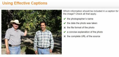 Which information should be included in a caption for the image? Check all that apply.

the photogra