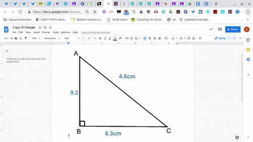 Triangle ABC : AB = 9.2 cm , BC = 6.3 cm and CA = 4.6 cm

Please draw a triangle and mark and mentio