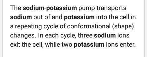 Explain how Sodium and Potassium exchange during active transport Write your answer in 5 steps