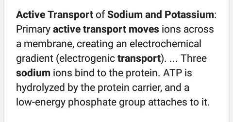 Explain how Sodium and Potassium exchange during active transport Write your answer in 5 steps