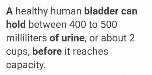 How much can your bladder hold before it pops