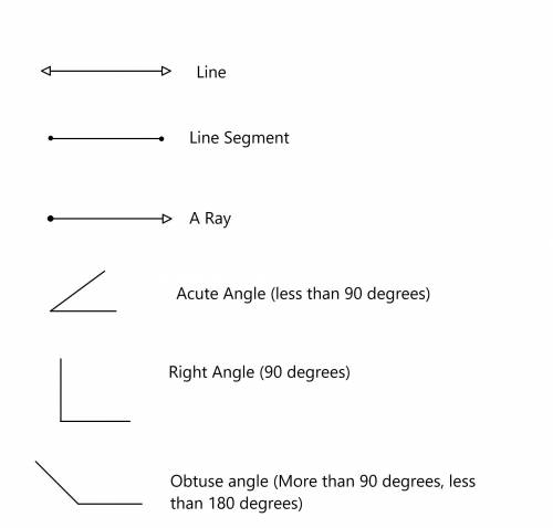 Draw and label a line a line segment a ray and an angle