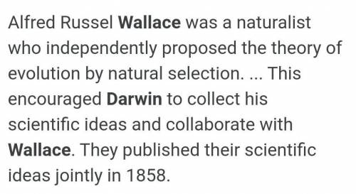 Name one of the people who's work contributed to Darwin's Theory of Natural Selection. In 2-4 senten