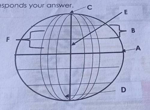 Directions: Identify the different imaginary lines of the globe. Write the letter that

corresponds