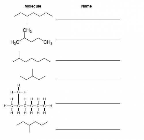 D. Write the name of the branched alkane next to the drawing of the molecule. (2 points)