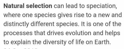 Why do you think that Darwin's principle of natural selection was important and how did it relate to