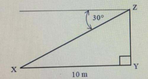 a diagram not drawn to scale shows the angle of depression of a point x from z is 30°. if x is 10 me