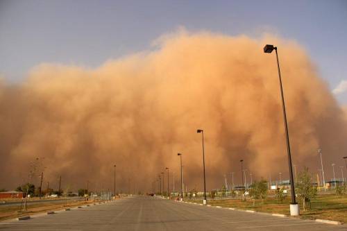 1.

 
Watch for oncoming sandstorms by checking the horizon for what appears to be a  moving along t