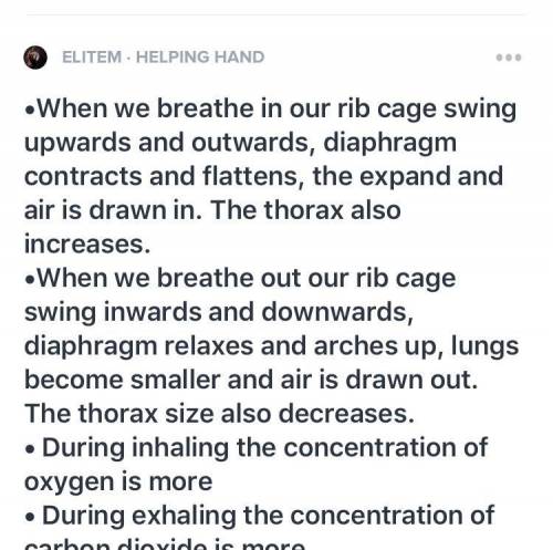 Compare how the human body breathes in and out. Describe what happens to the ribcage, the diaphragm