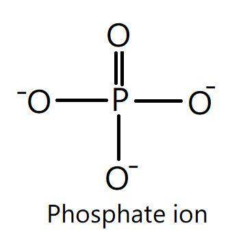 A phosphate group has the following chemical composition:

a. -OH
b. -COOH
c. -PS2
d. -CH3
e. -PO4