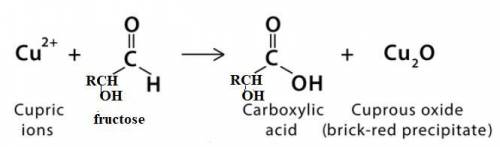 Certain ketones such as fructose can be oxidized by Benedict's reagent under basic conditions to for