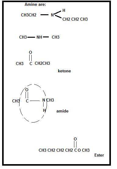 Amines and amides are organic compounds that contain nitrogen. Amines are ammonia derivatives, in wh