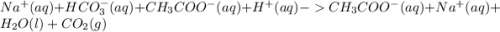 Na^+(aq)+HCO_3^-(aq)+CH_3COO^-(aq)+H^+(aq)-CH_3COO^-(aq)+Na^+(aq)+H_2O(l)+CO_2(g)