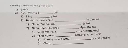 PLEASE HELP!!! Missing words from a phone call (Spanish) I need help filling in the blanks. can anyo