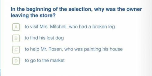 In the beginning of the selection,why was the owner leaving the store?