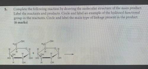 Complete the following reaction by drawing the molecular structure of the main product, Label the re