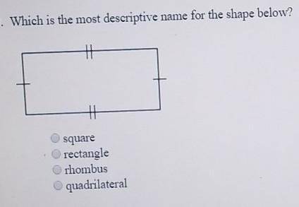 Please help I don't understand how to do this