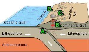 Subduction zones form when an oceanic plate collides with another oceanic plate or continental plate
