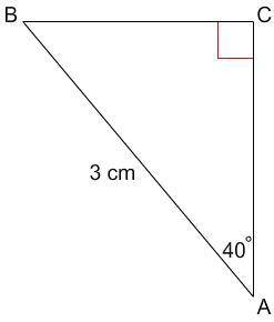 Please help me find angle B