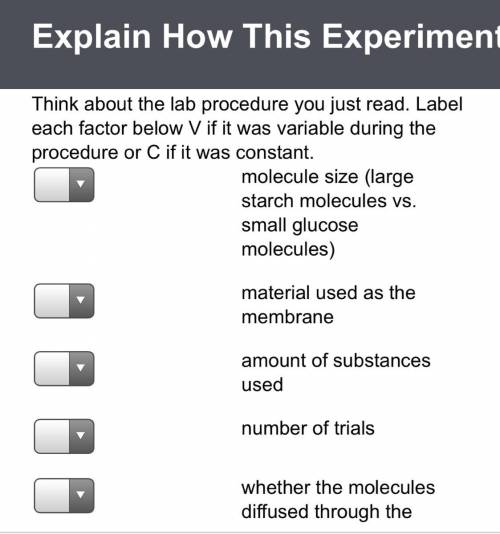 Think about the lab procedure you just read. Label each factor below V if it was variable during the