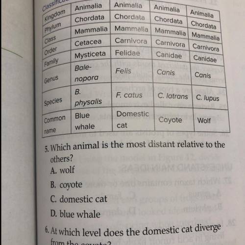 Which animal is the most distant relative to the others