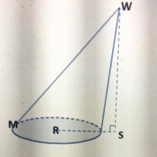 What is the Line segment WS is called? Altitude  Apex Slant height  Radius