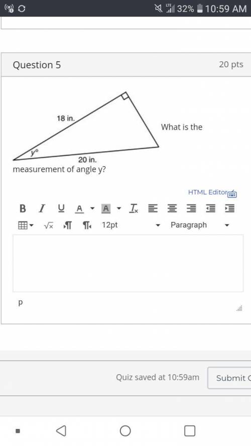 What is the measurement of angle y?