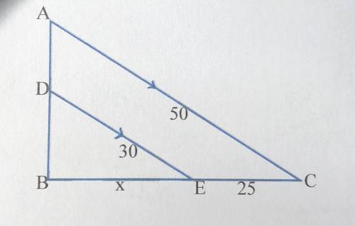 What is x given angle ABC~ angle DBE~ ?