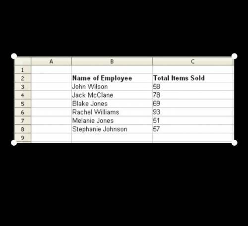 Jim uses the following table to keep track of how many items his employees sold in the last two week