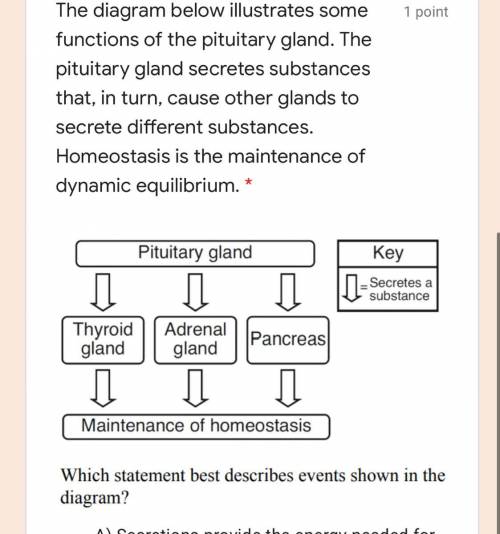 The diagram below illustrates some functions of the pituitary gland. The pituitary gland secretes su