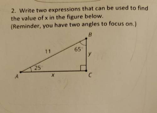 Does anyone know what the answer is please help