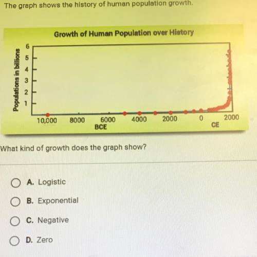 What kind of growth does the graph show