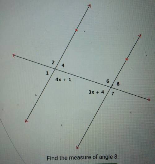Find the measure of angle 8. Someone Please help me answer this question