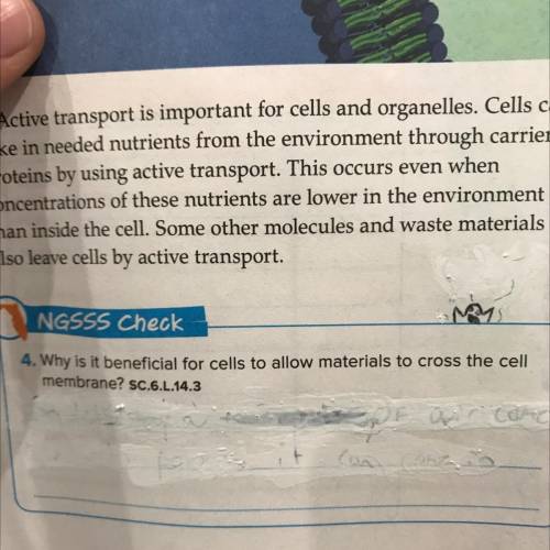 Why is it beneficial for cells to allow materials to cross the cell membrane