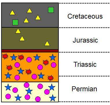 The diagram below represents a series of rock layers from a single location. Each different type of