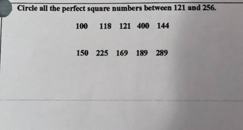 Circle all the perfect square numbers between 121 and 256.