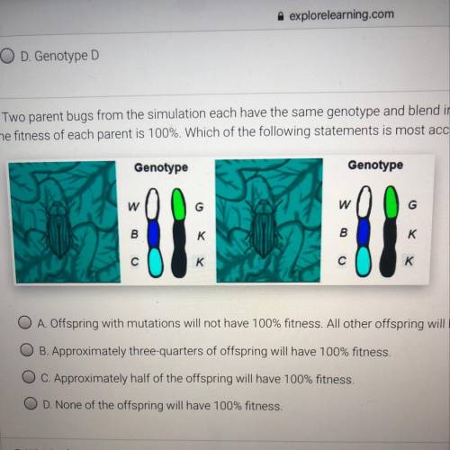 Help!!!Two parent bugs from the simulation each have the same genotype and blend in perfectly with t