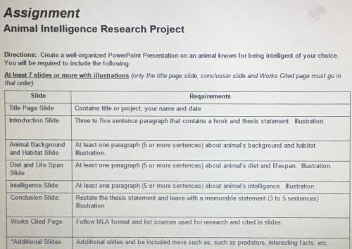 Assignment Animal Intelligence Research Project Directions: Create a well-organized PowerPoint Prese