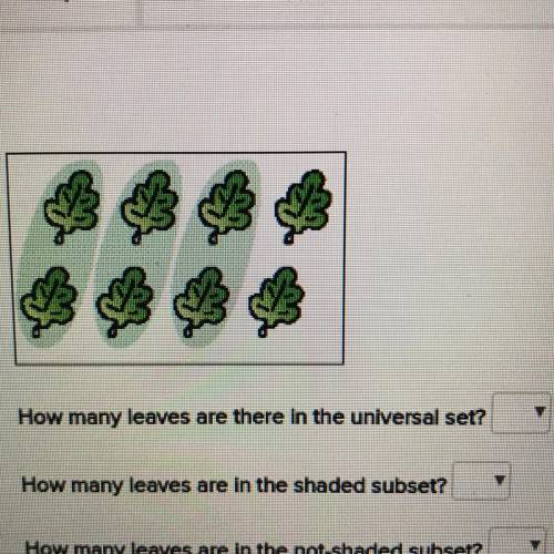 How many leaves are there in the universal set? How many leaves are in the shaded subset? How many l