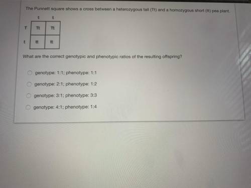 Please help with this im struggling and need help! picture provided