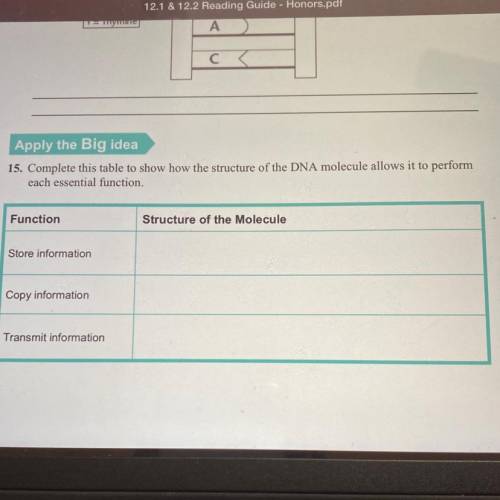 Complete this table to show how the structure of the DNA molecule allows it to perform each essentia