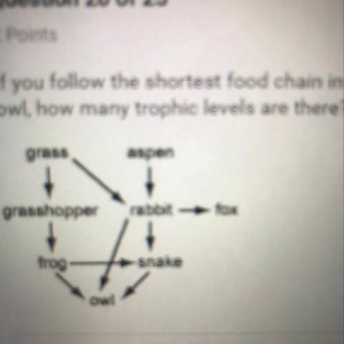 If you follow the shortest food chain in the food web below from aspen to owl, how many trophic leve