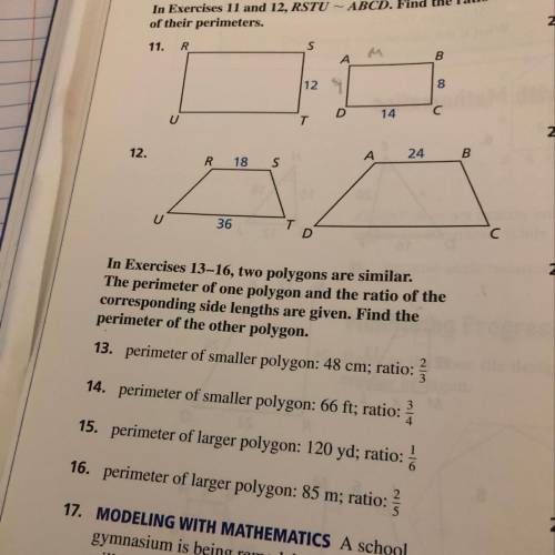 I only need help with 13 plz