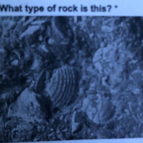 LT4 What type of rock is this?  clastic intrusive bloclastic chemical