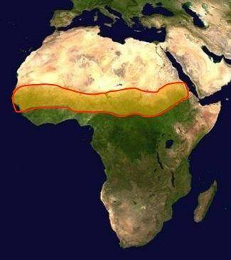 What is the name of the yellow zone found approximately in the center of this map of Africa? A) Cong